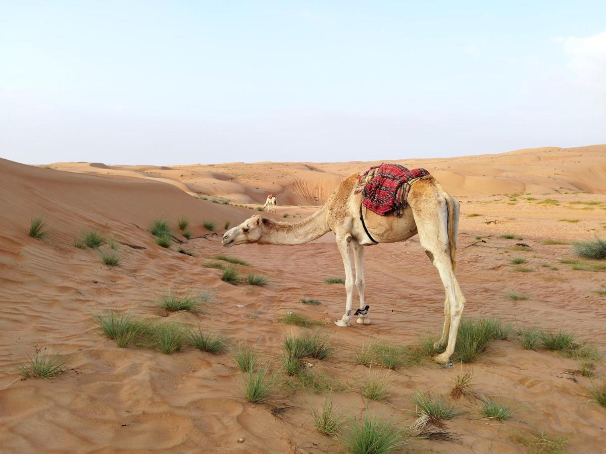 Sands Dream Tourism Camp Shāhiq Exterior foto